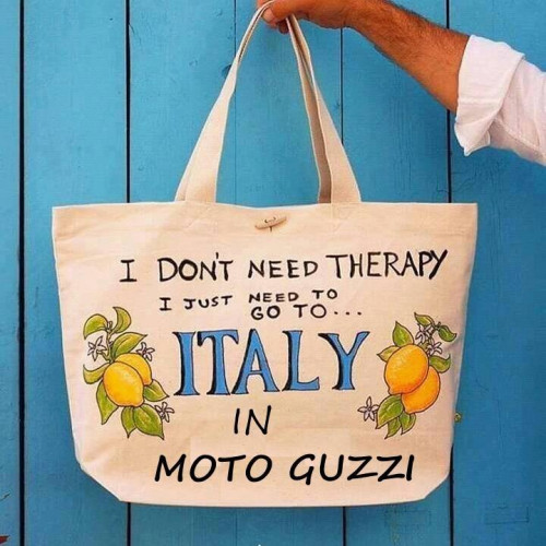 moto guzzi bag.jpg