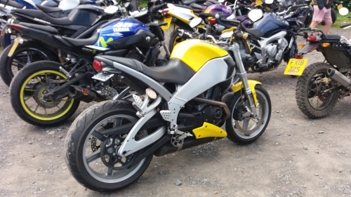 tt 2019 002.jpg