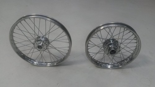 Wh lacingeel 008.jpg